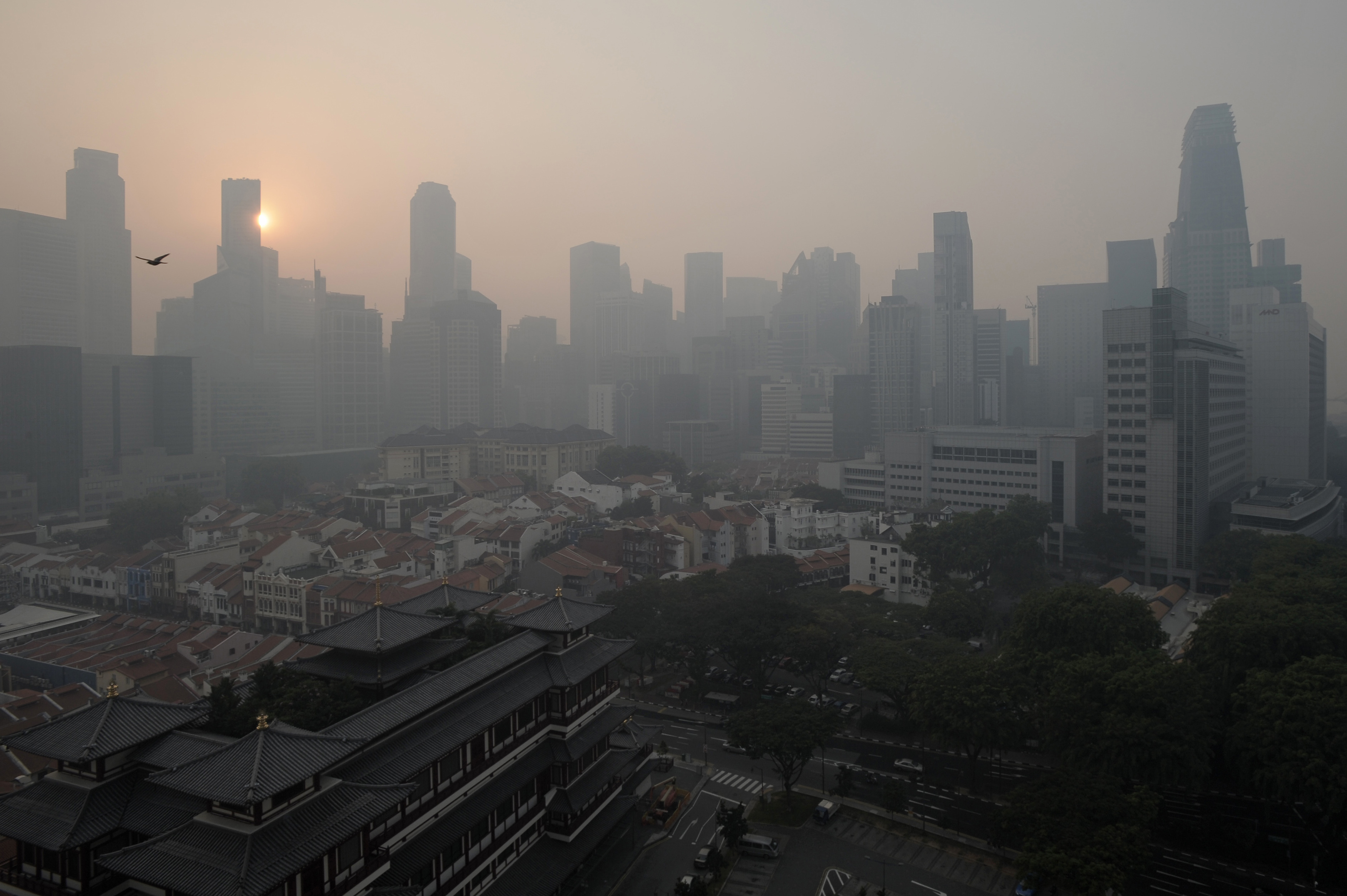Singapore issues pollution warning as smoke from "slash-and-burn" fires
