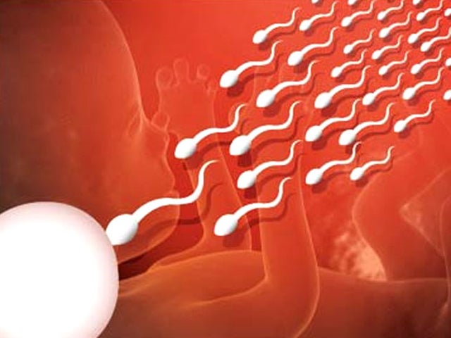 fitness sperm fitness sperm