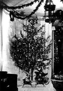 Johnson_christmas_lights.jpg