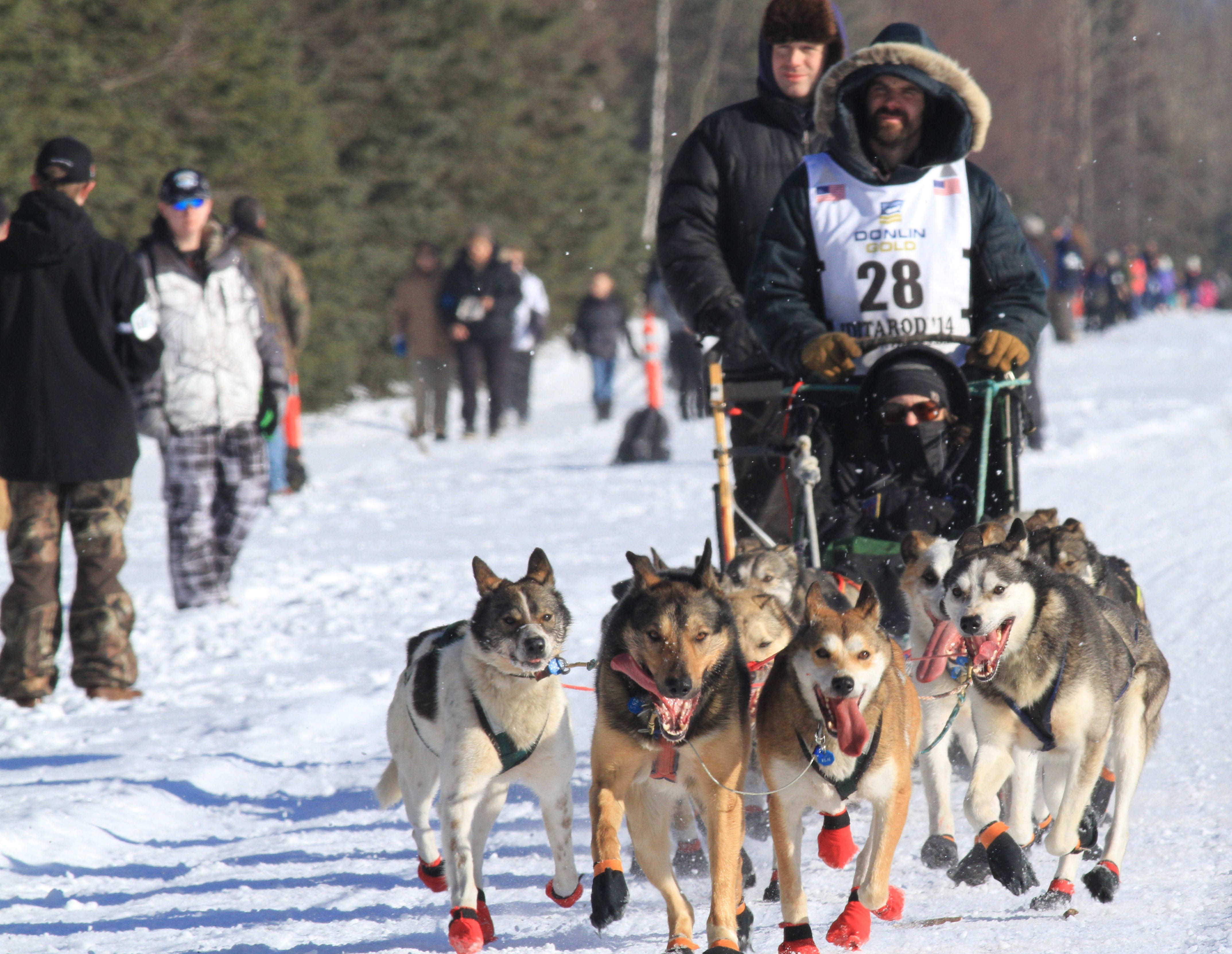 Mush! The Iditarod sleddog race begins in Alaska CBS News