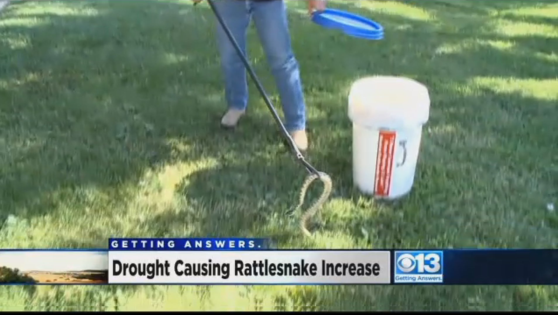Rattlesnakes are slithering closer to homes in Northern California
