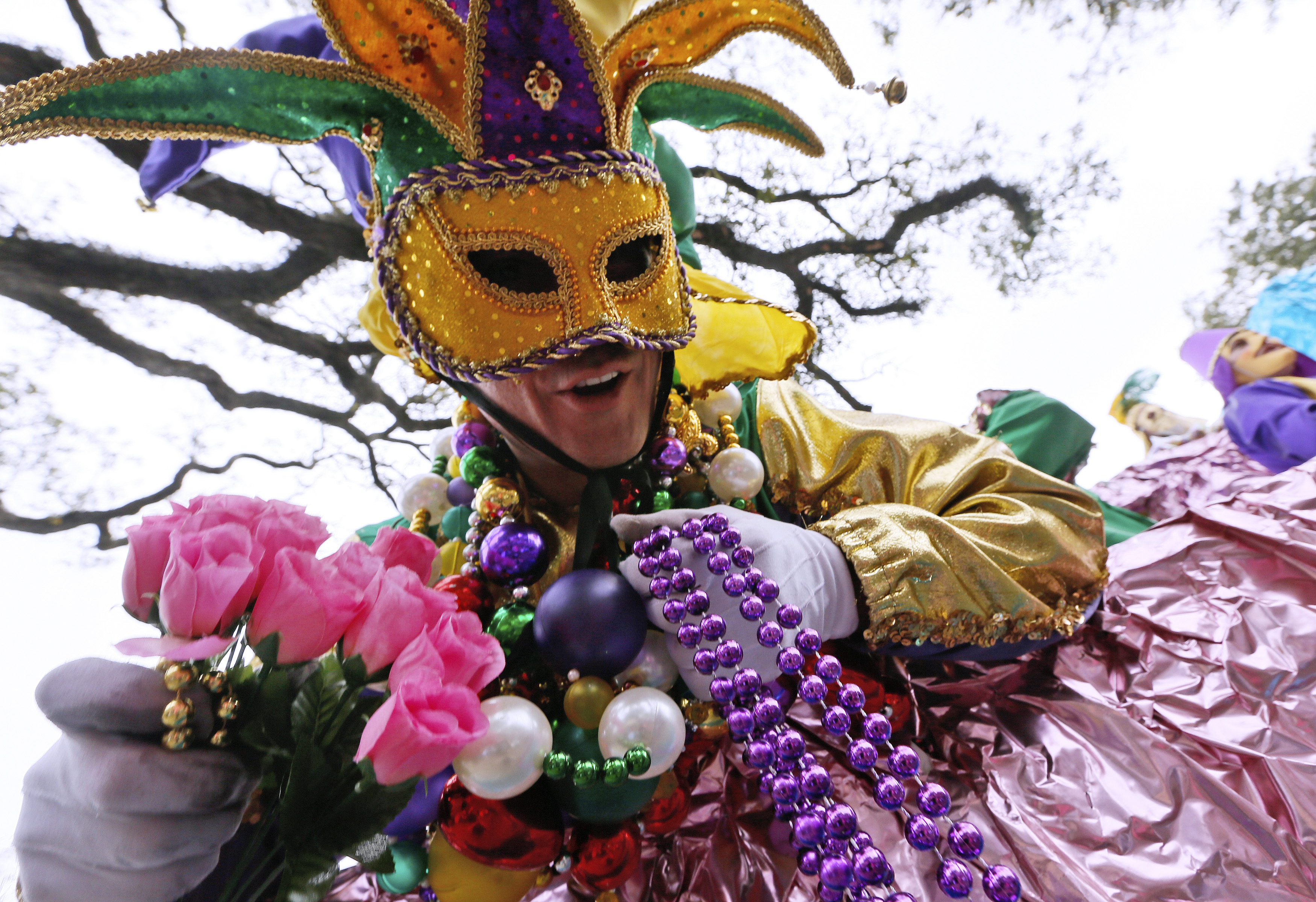 The Camel Toe Lady Steppers - New Orleans celebrates Mardi ...