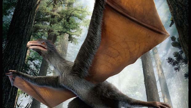 dinosaur with bat wings