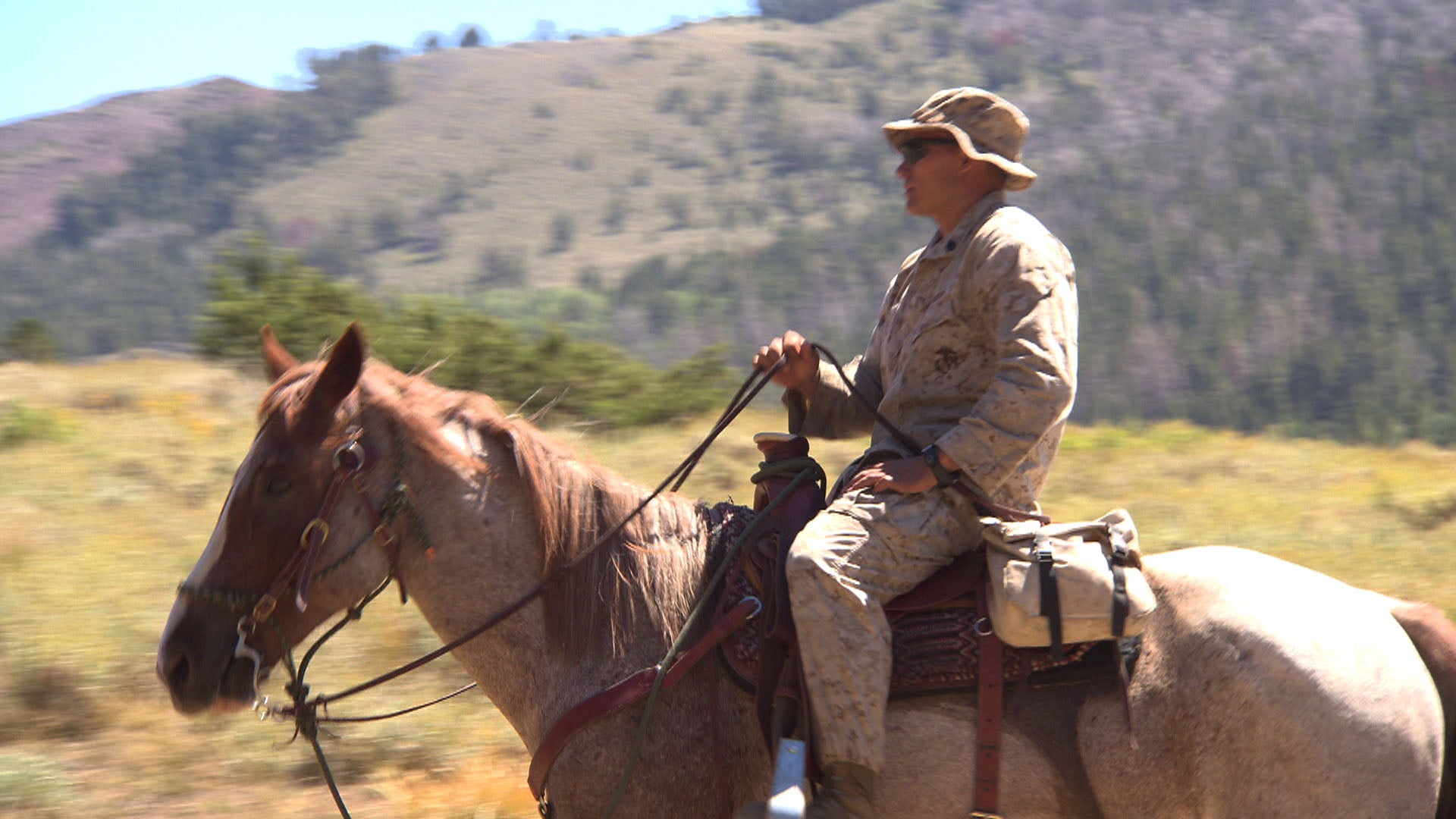 Inside the horseback training for U.S. Special Forces CBS News