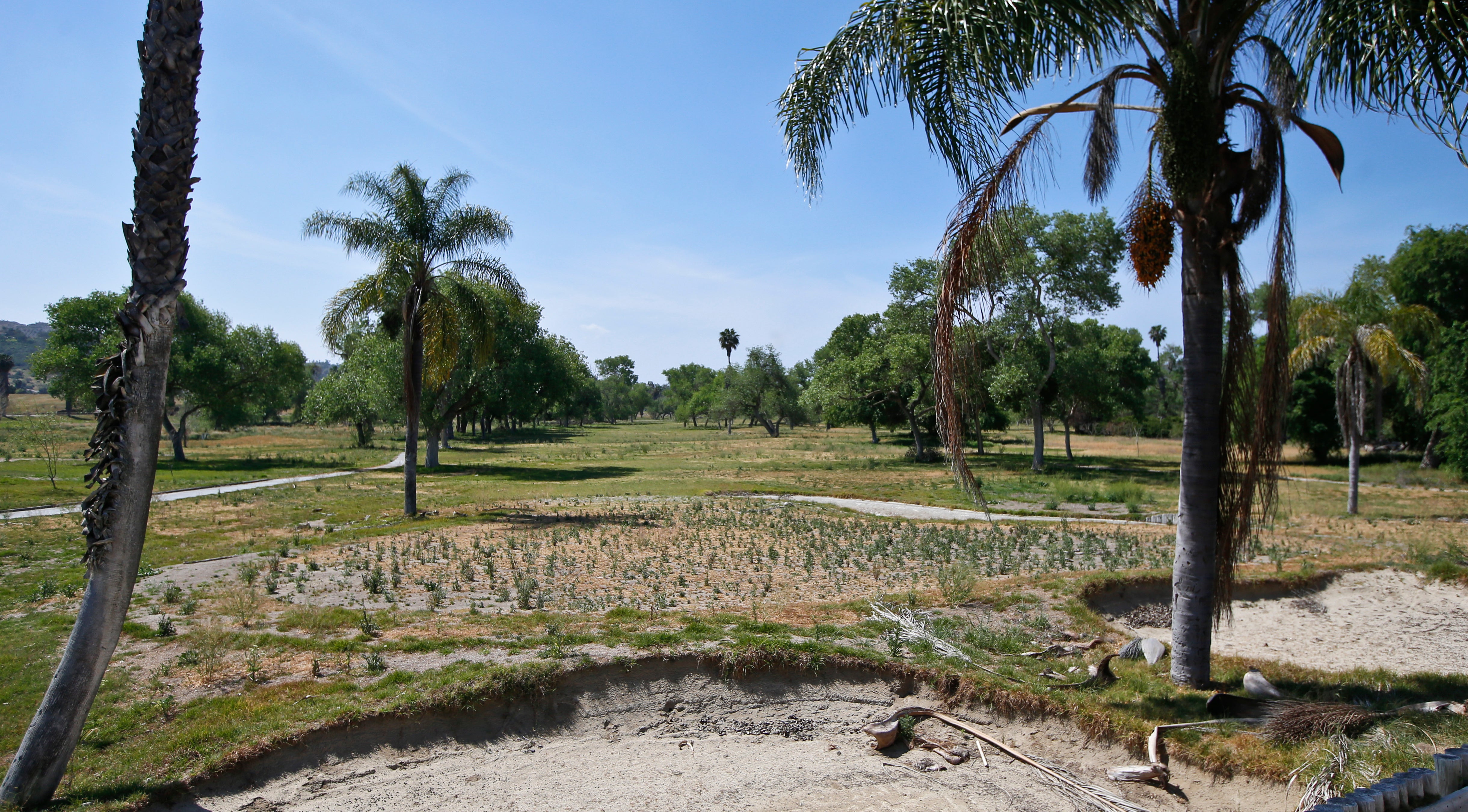 California drought takes toll on golf course water supply CBS News