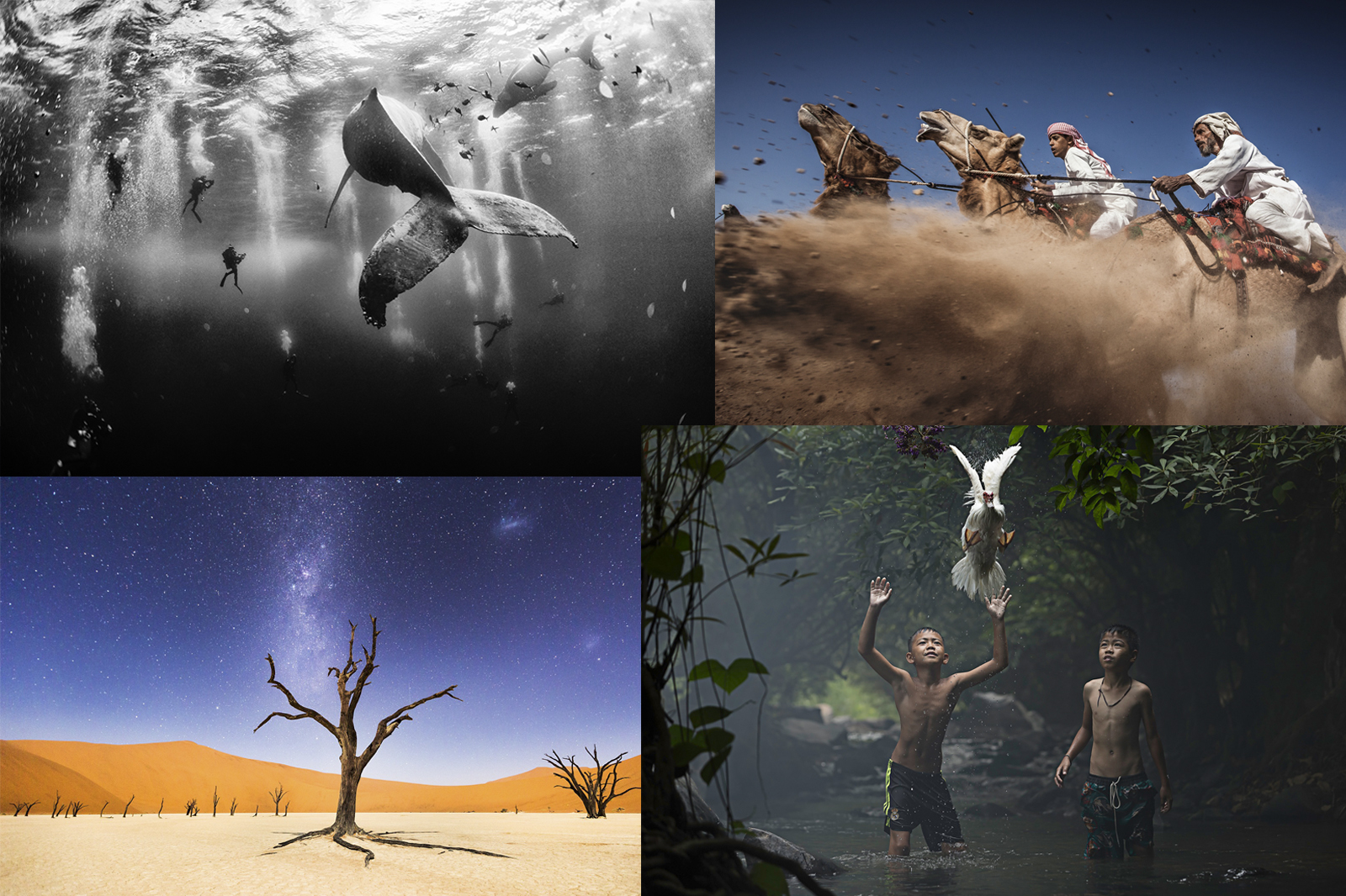 Merit National Geographic Traveler Photo Contest winners revealed