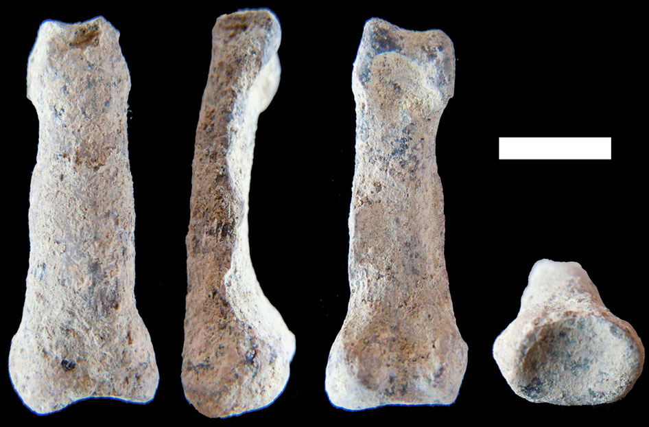 Earliest human hand bone unearthed in Africa - CBS News