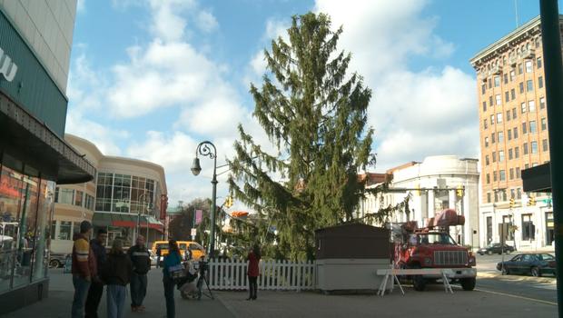 how a pennsylvania city s quot ugly quot christmas tree lives on how a pennsylvania city s quot ugly quot christmas tree lives on