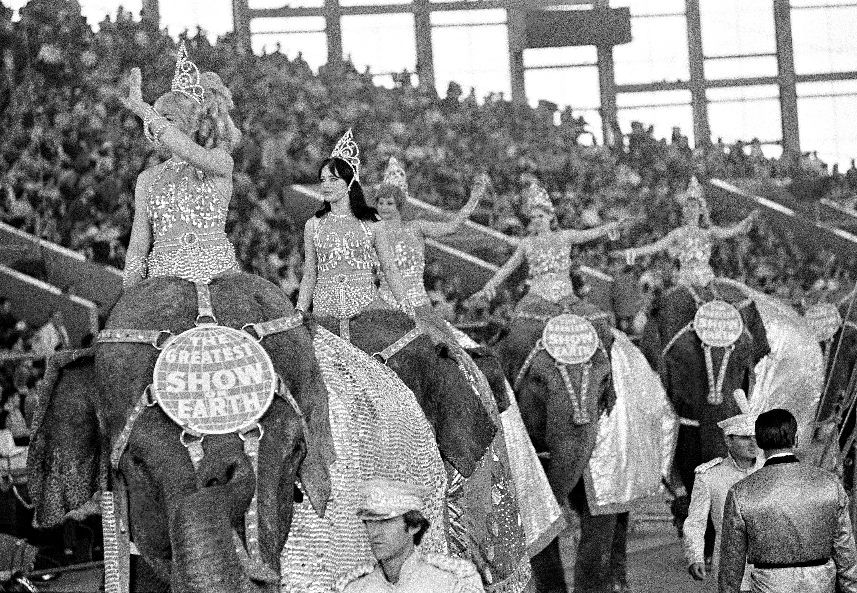 Ringling Brothers elephants - End of an era for Ringling Brothers