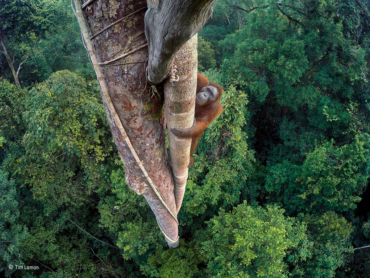 Grand Title winner - Top wildlife shots 2016 - Pictures - CBS News