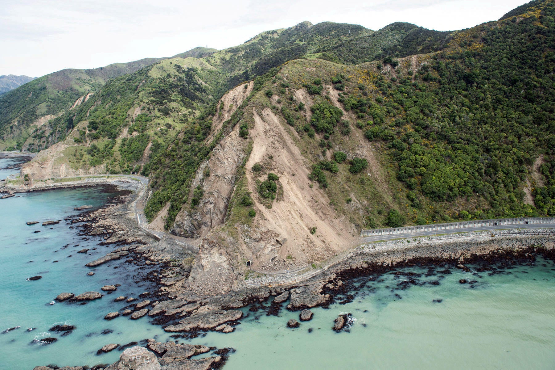 New Zealand earthquake strands Kaikoura tourists in whalewatching
