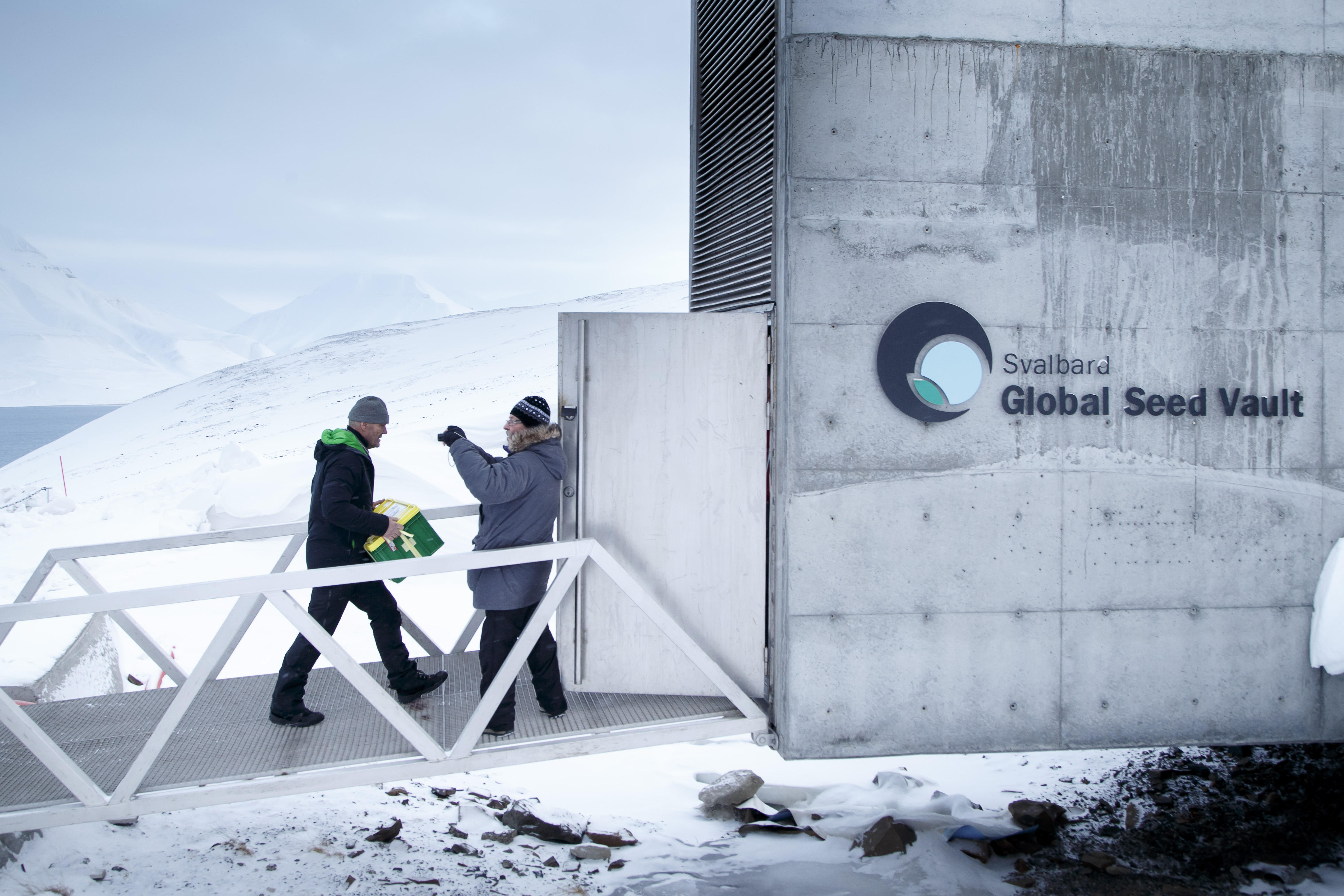 Arctic "doomsday" seed vault receives 50,000 new deposits - CBS News