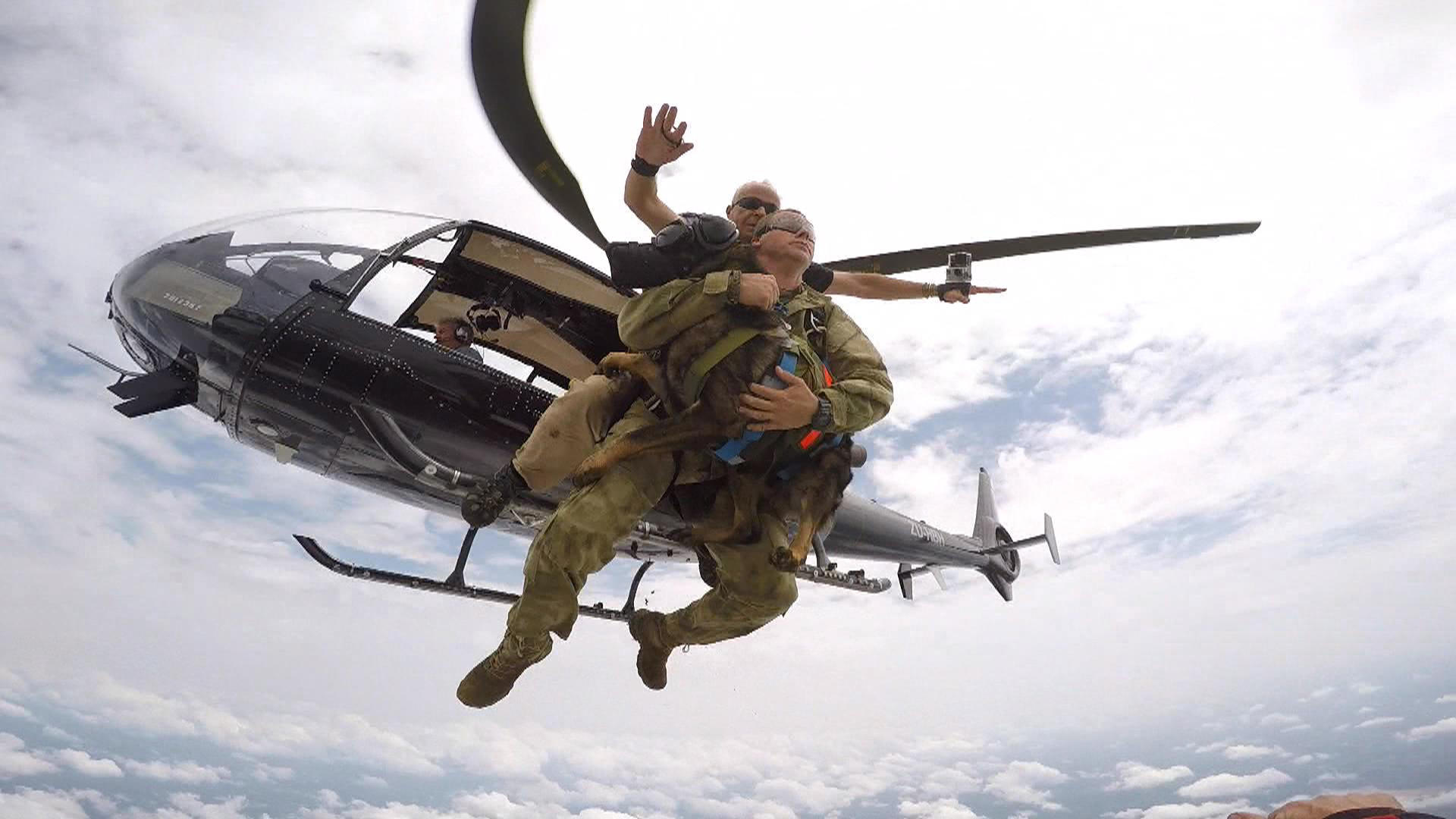 Arrow takes flight Skydiving dogs Pictures CBS News