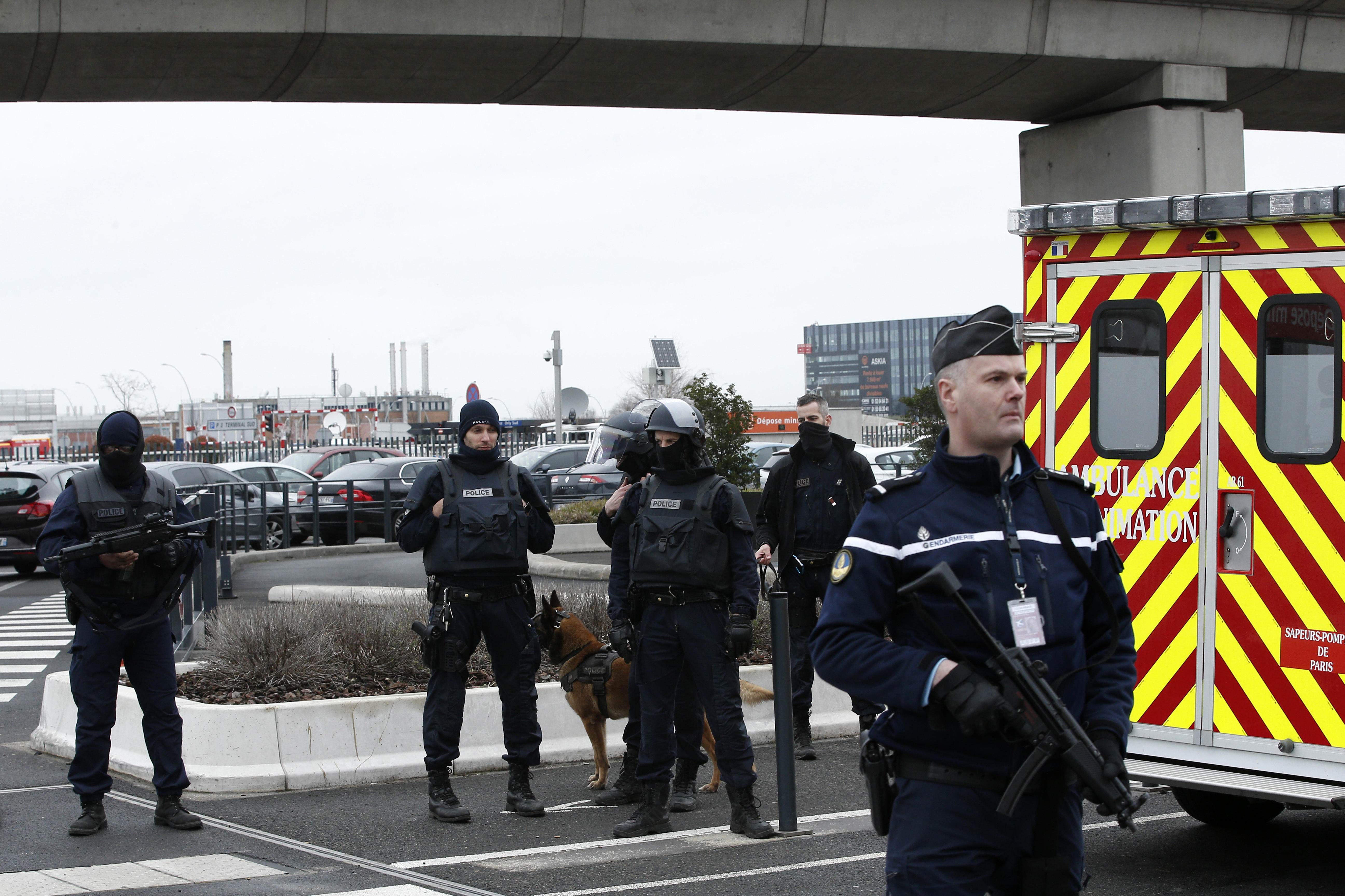 Paris airport shooting: Man killed after trying to grab ...