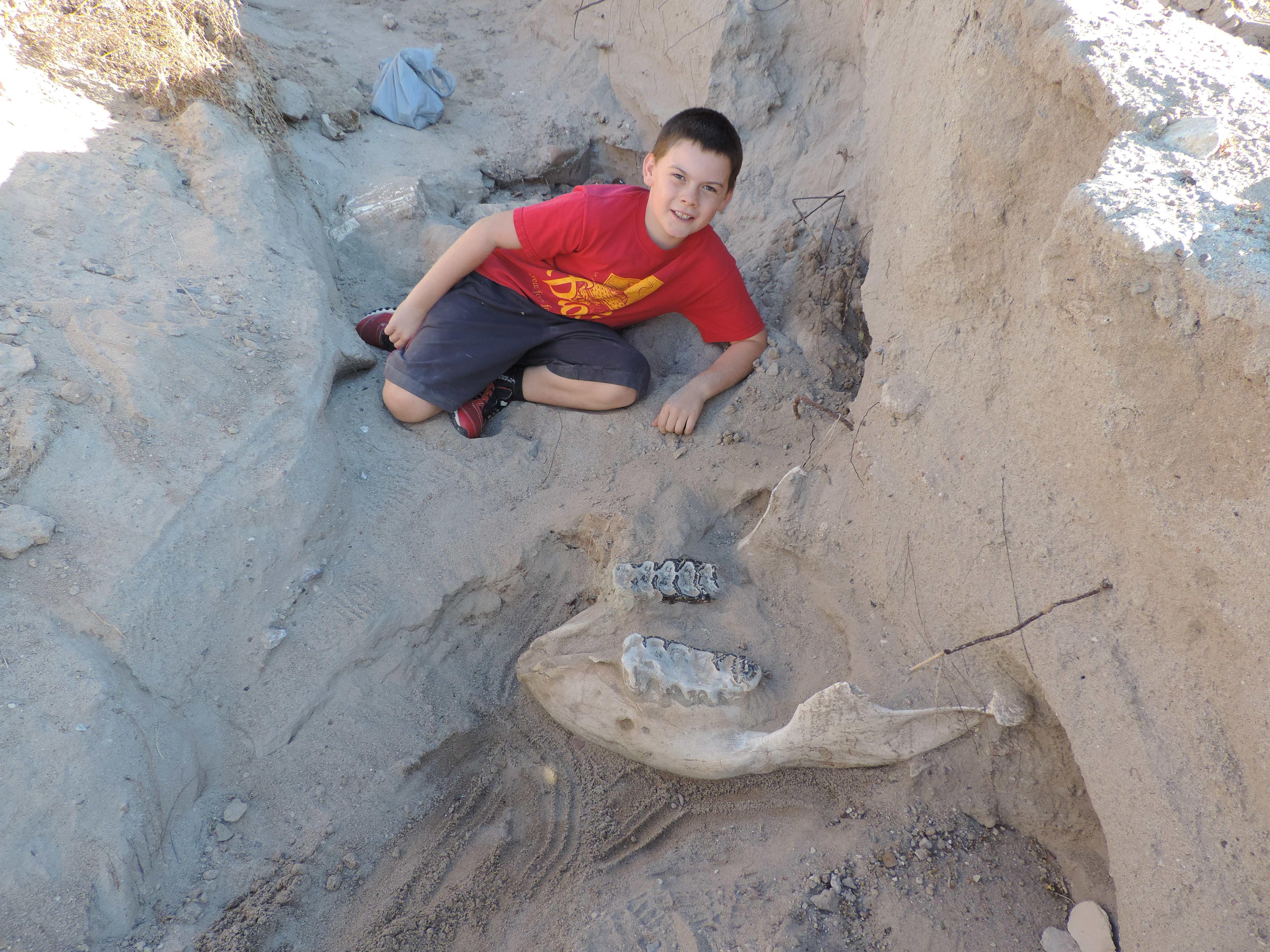 Boy trips, falls and discovers million-year-old fossil