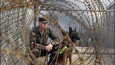 Guantanamo bay essay