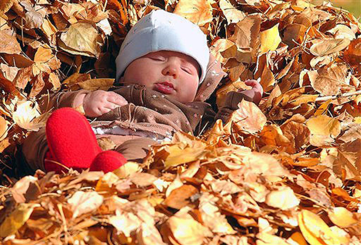 Новорожденный в осенних листьях