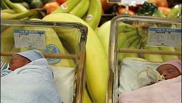food influence sex of baby shaved tits and ass