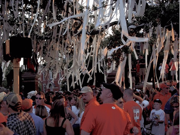 Toomer s Corner Poisoned: Auburn U. Landmark Oaks May Not Survive