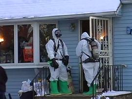 New York house full of animals, calf discovered, says police