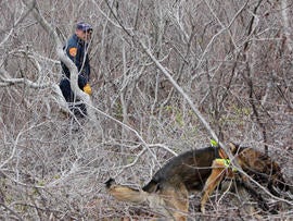 Long Island serial killer? Cops have suspect, says report