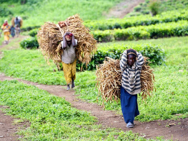 African farmers generic