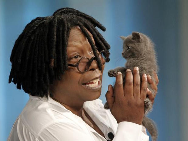 Whoopi Goldberg Adopts Kitten Thrown From Car On Nyc Bridge Cbs News