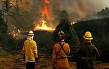 Texas Forest Service: "Unprecedented fire behavior"