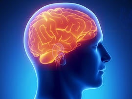 Human brain glowing lateral view