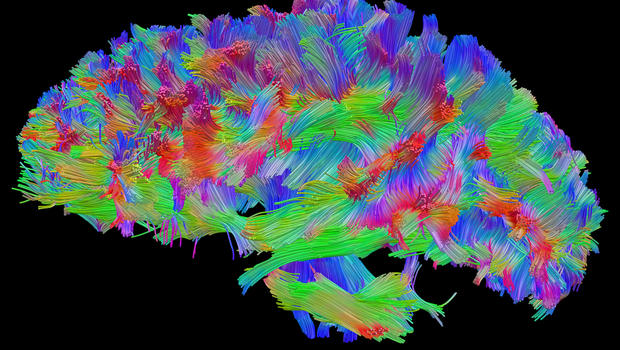 human brain mapping project obama