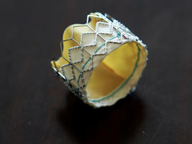 sapien heart valve, fda
