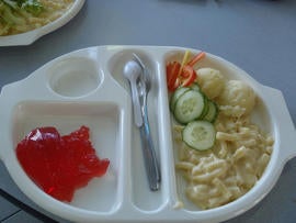 Martha Payne school lunch photo