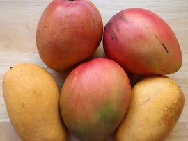 mango