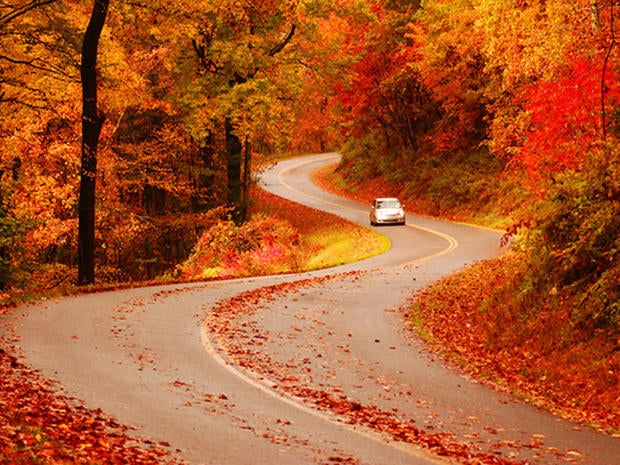 Fall colors 2012 - Photo 5 - Pictures - CBS News