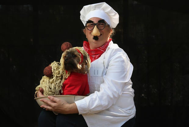 Halloween dog parade in New York
