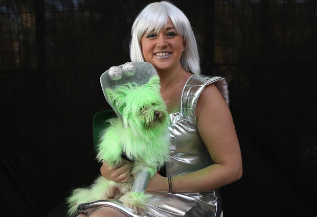 Halloween dog parade in New York