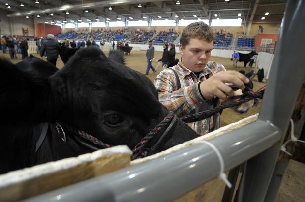 pa farm show draws crowd photo 1 pictures cbs news pa farm show draws crowd photo 1 pictures cbs news