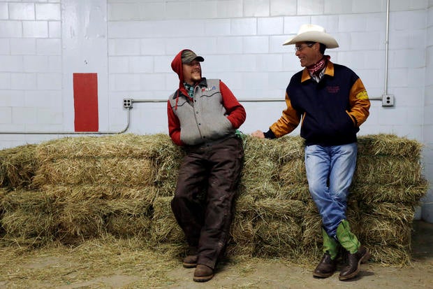 pa farm show draws crowd photo 1 pictures cbs news pa farm show draws crowd photo 1 pictures cbs news