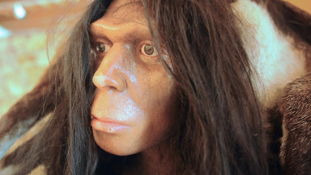 http://cbsnews1.cbsistatic.com/hub/i/r/2013/01/21/46671cf7-a645-11e2-a3f0-029118418759/thumbnail/620x350/1bd990ce2a04b25c054f6b171962a6e6/neanderthal-updated.jpg