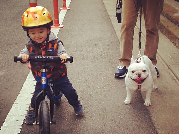 Tasuku and bulldog buddy Muu go for a bike ride