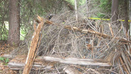 A tip from Idaho campers helped police find alleged kidnapper James Lee DiMaggio's car, hidden under branches.