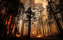 Massive fire still burning in Yosemite