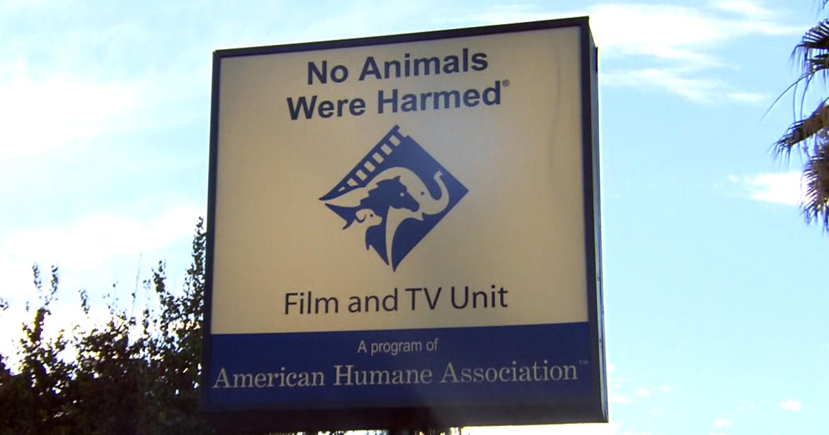 "No animals were harmed?" Not so fast, says The Hollywood Reporter