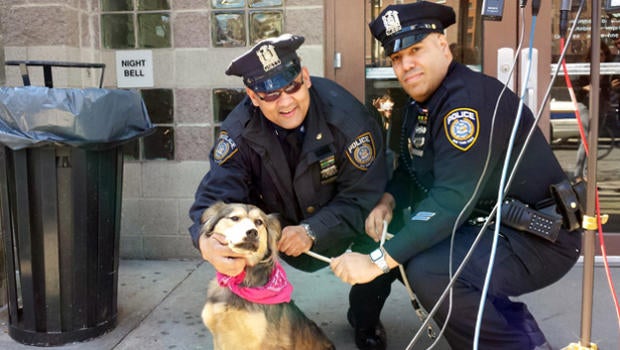 metro-north-dog-rescuers.jpg
