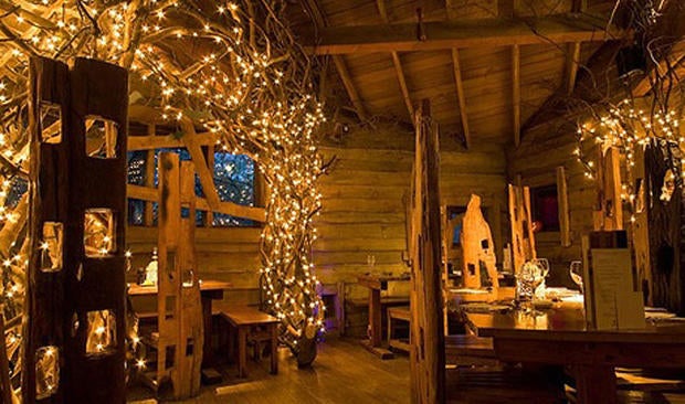Tree House Inside Tree House Inside