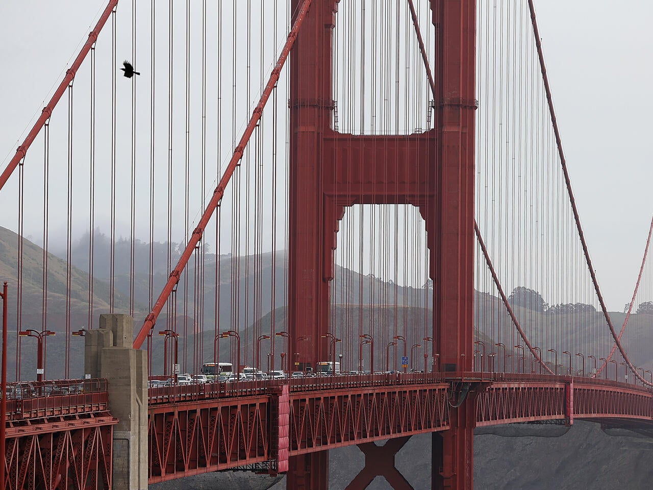 5 Most Congested Cities In The U.S. sanfrancisco 5 Most Congested Cities In The U.S.