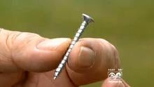 oaklawnscrew.jpg