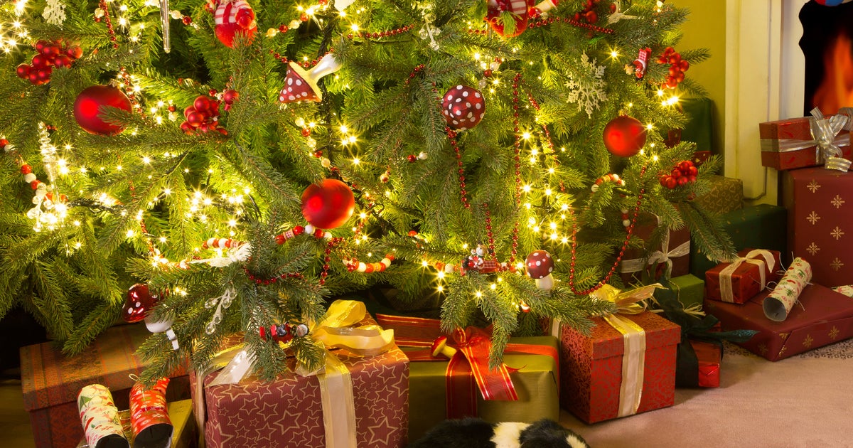 when buying a christmas tree think safety first cbs news when buying a christmas tree think safety first cbs news