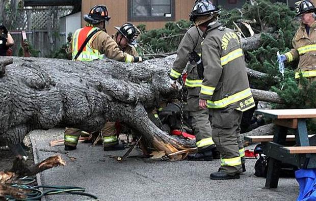 california-storm-student-hit.jpg
