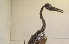hesperornis-yale-peabody-mount.jpg